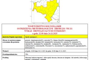 586927740_1425368292932060_4691266540504102112_n