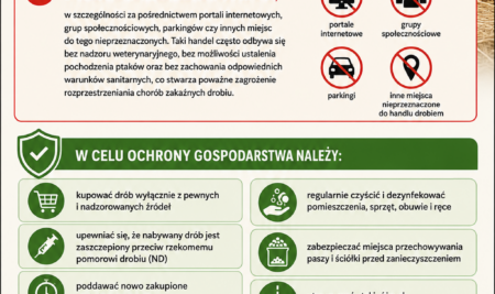 🐥🐣🐔‼️Apel do hodowców drobiu z Powiat Ząbkowicki i Ziemia Ząbkowicka‼️🐥🐣🐔